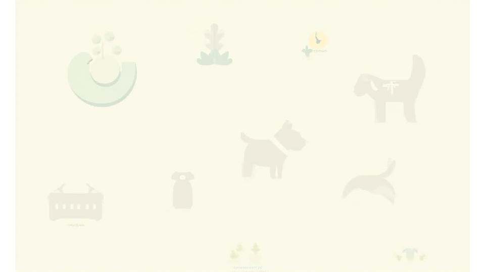 Infografía ilustrativa mostrando iconos y textos sobre desafíos comunes en perros seniors: articulaciones, vista, oído, memoria, energía. Predominan los tonos tierra y verde.