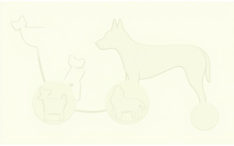 Infografía que muestra el proceso de evaluación y agrupación de perros por tamaño, edad, y temperamento para la socialización